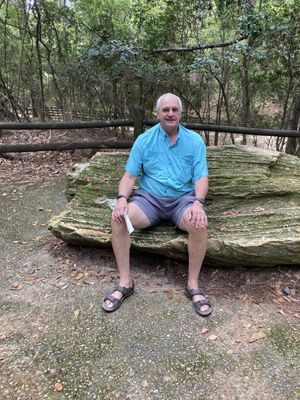 Mississippi Petrified Forest by null