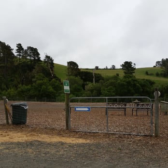 Cambria Dog Park - Small dog and large dogs, separate sides. No grass but lots of really friendly people and good dogs. - Dog Parks Near Me - Cambria, California Cambria Dog Park - Small dog and large dogs, separate sides. No grass but lots of really friendly people and good dogs. - Dog Parks Near Me - Cambria, California