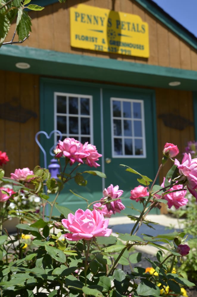 PENNY’S PETALS Updated August 2024 240 Stagecoach Rd, Millstone