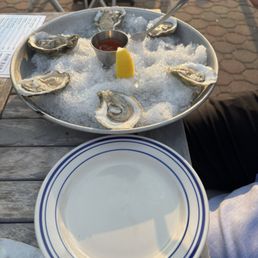 Oysters