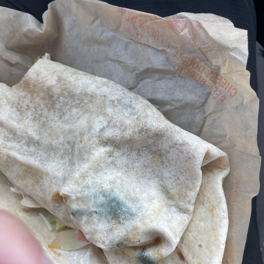 Mold as seen Mold as seen