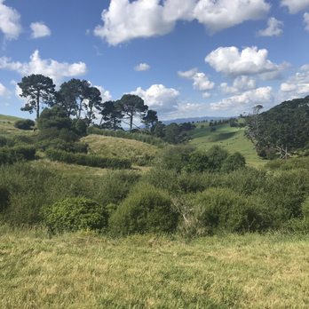 Hobbiton - Tours Near Me - Matamata, WKO Hobbiton - Tours Near Me - Matamata, WKO