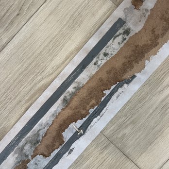 General RV Center - Wet wood with mildew - RV Dealers Near Me - North Canton, Ohio