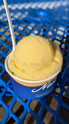 Nasto's Ice Cream Co. — Old World Desserts by null