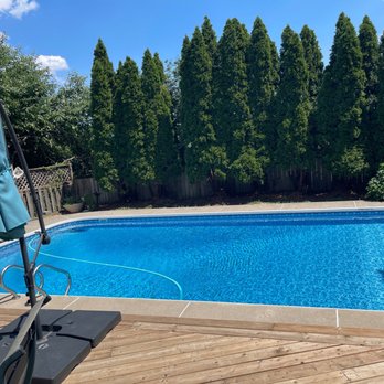 Beechwood Tree - Tree Services Near Me - Brampton, Ontario Beechwood Tree - Tree Services Near Me - Brampton, Ontario