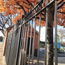 Flatbush - East Flatbush Wed/8th/Nov/2023.  1:40pm.