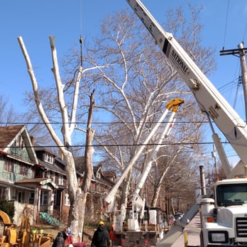 Carl’s Tree Service-Landscaping - These guys have the right equipment to get the job done! - Tree Services Near Me - West Mifflin, Pennsylvania