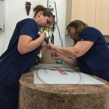 E & L Animal Clinic - She's getting her shots oh noooo! - Veterinarians Near Me - Hialeah, Florida E & L Animal Clinic - She's getting her shots oh noooo! - Veterinarians Near Me - Hialeah, Florida