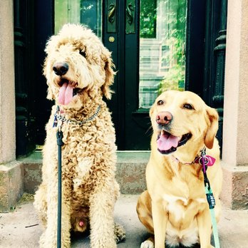 Pawmos Dog Training - Pet Training Near Me Pawmos Dog Training - Pet Training Near Me