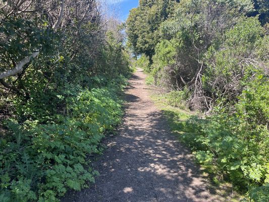 Tomales Bay Trailhead by null