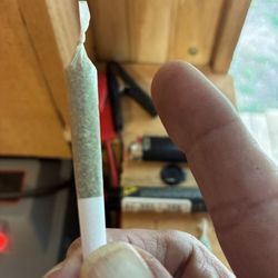 gLeaf - Size of pre-roll.
