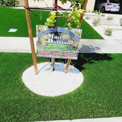 Damian Landscaping - Artificial turf