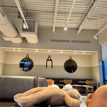 Starbucks - Lounge area and a fallen teddy bear - Coffee & Tea Near Me - Trooper, Pennsylvania Starbucks - Lounge area and a fallen teddy bear - Coffee & Tea Near Me - Trooper, Pennsylvania