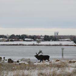 The Reach - REACH Museum in winter.