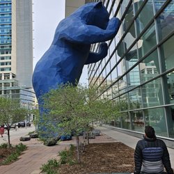 Big Blue Bear