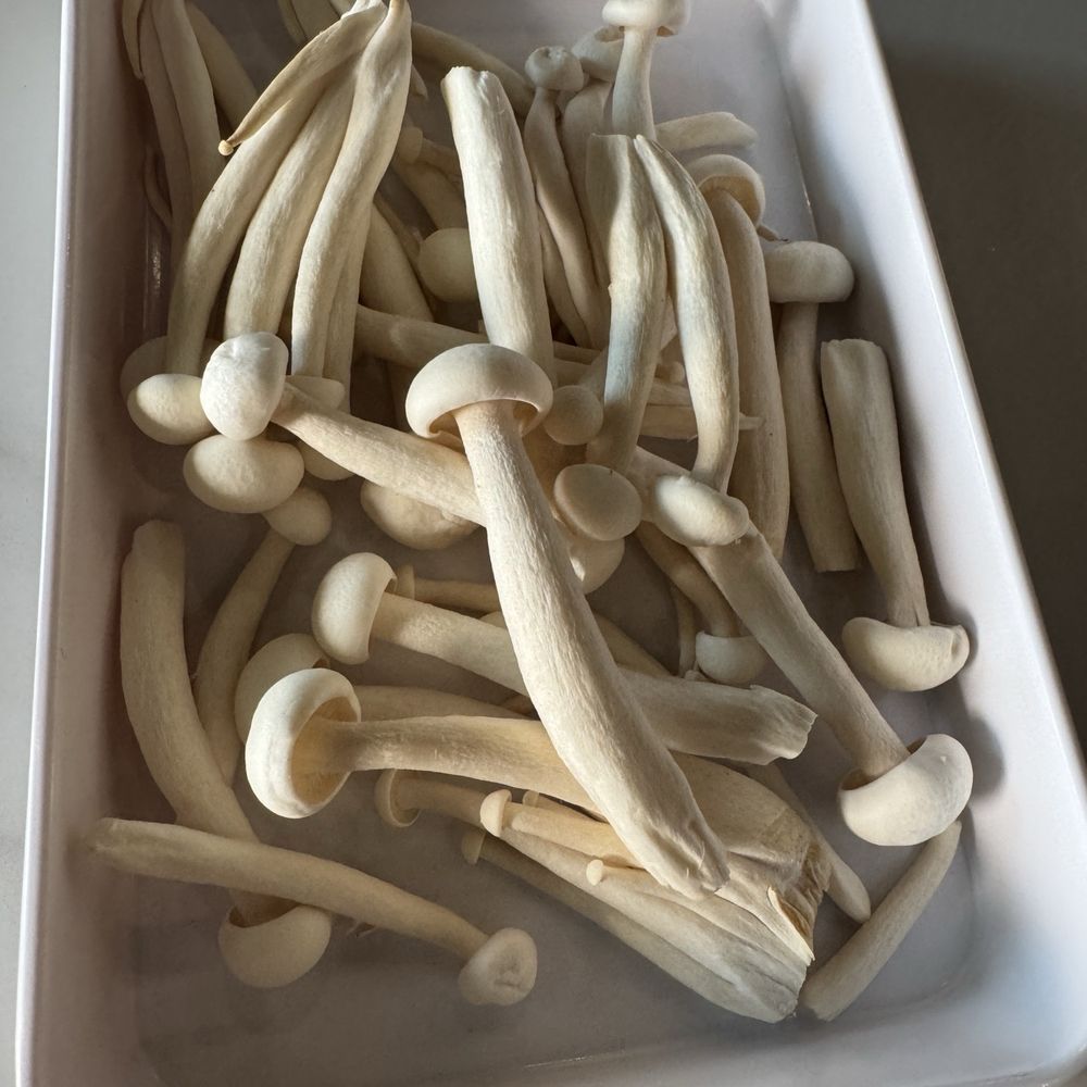 Hotpot Champ - Mushrooms - Hot Pot Near Me - San Francisco, California