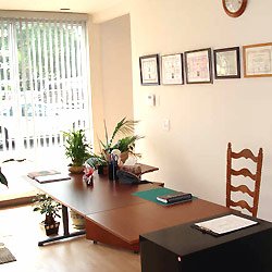 Shiatsu Place Logo