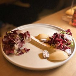 Bad Idea - Winter Chicories