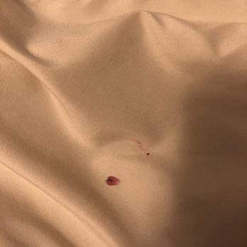 Alaskan Steakhouse & Motel - a bed with a stain on it - Guest Houses Near Me - Delta Junction, Alaska