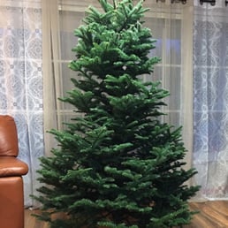 Beautiful tree, even before being decorated. Beautiful tree, even before being decorated.