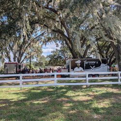 Fox Squirrel Corn Maze
