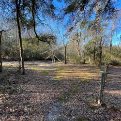 Lillian Ave Playground Park - Trail Into The Woods