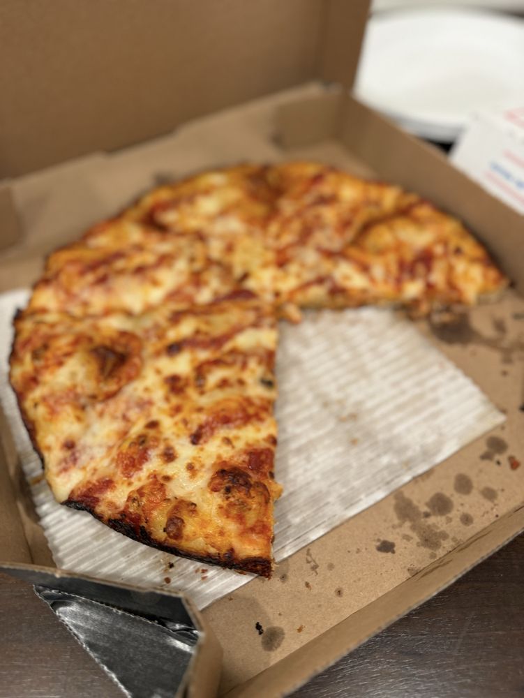 Domino's Pizza Logo