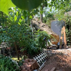 Diaz Landscape Design & Tree Service - Tree service!