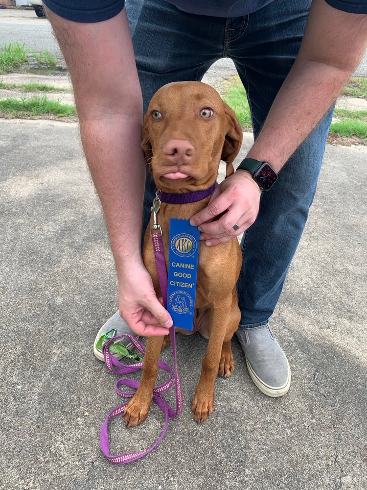 K9 DOG OBEDIENCE Updated August 2024 6154 Jefferson St, Groves