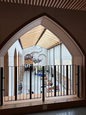 Yale Peabody Museum by null