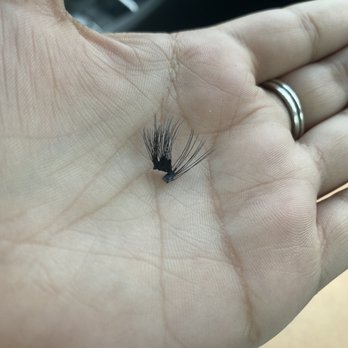 Fancy Nails & Lashes - The photo of the lashes in my hand is the lashes that came off A DAY later. Due to irritability. - Nail Salons Near Me - North Lauderdale, Florida Fancy Nails & Lashes - The photo of the lashes in my hand is the lashes that came off A DAY later. Due to irritability. - Nail Salons Near Me - North Lauderdale, Florida