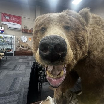 Freedom Firearms - Guns & Ammo Near Me - Waco, Texas