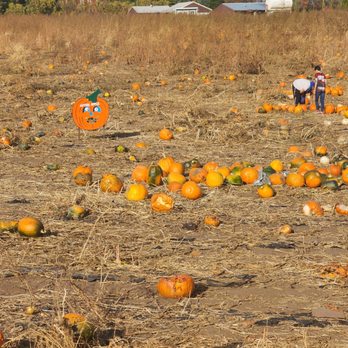 Afton Apple Orchard - Fruits & Veggies Near Me - Hastings, Minnesota Afton Apple Orchard - Fruits & Veggies Near Me - Hastings, Minnesota