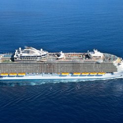 Lazy Gecko Travel - Cruise Travel