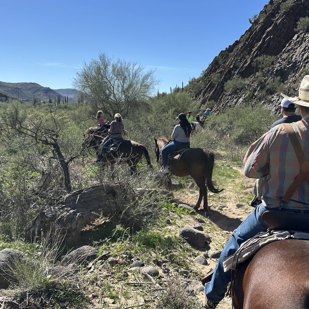 Western Destinations - Horseback Riding Near Me - Black Canyon City, Arizona Western Destinations - Horseback Riding Near Me - Black Canyon City, Arizona