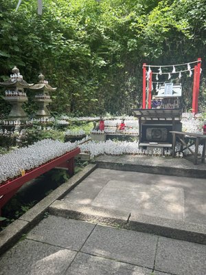 Sasuke Inari Shrine by null
