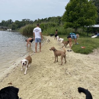 Bayview Dog Beach - Today was a fun filled day full of puppy friends. - Dog Parks Near Me - Pensacola, Florida Bayview Dog Beach - Today was a fun filled day full of puppy friends. - Dog Parks Near Me - Pensacola, Florida