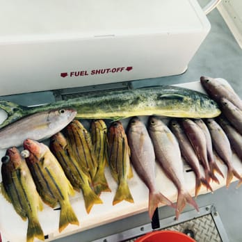 Maui Fun Charters - Mahi, pink snapper, blue line snapper - Boat Charters Near Me - Maalaea, Hawaii