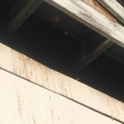 Alan L Witte Sales & Service - How rodents and birds get in was told my many people he refuses to fix it over 8 years now I request it he's trying to kick us out