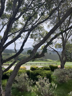 Tehama Golf Club by null