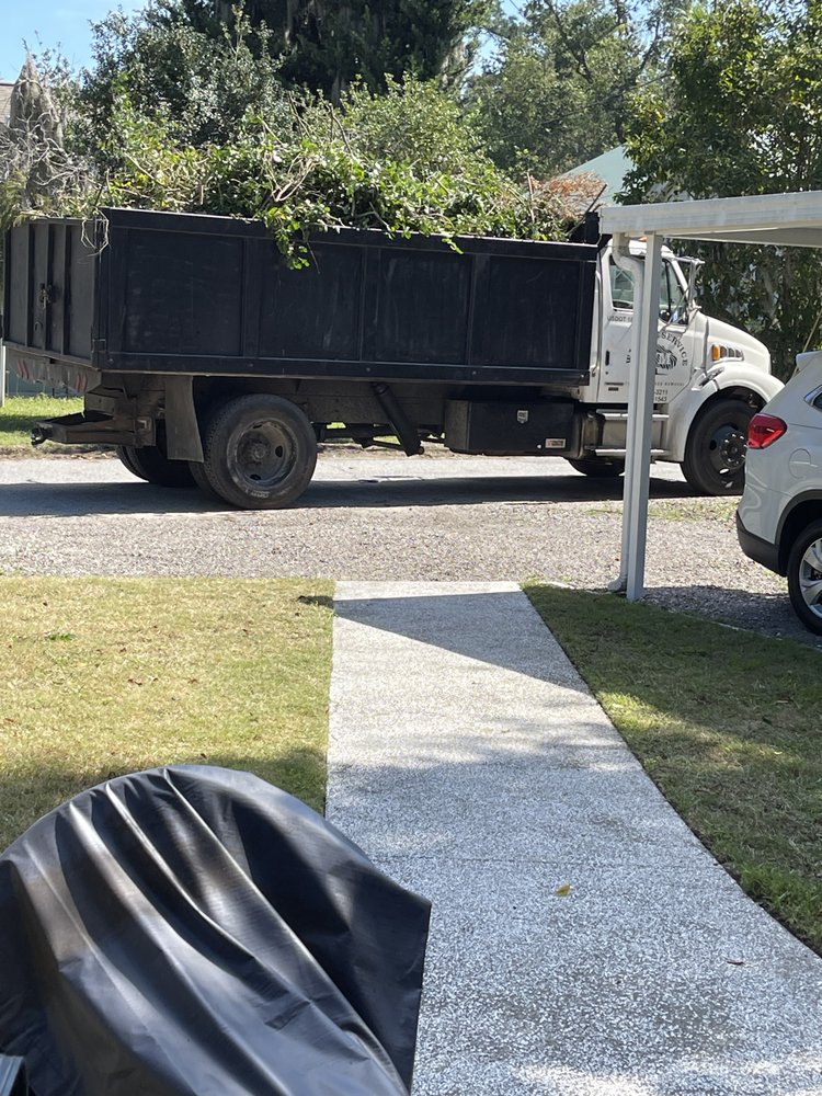 WM Tree Service - tree service in Savannah, GA