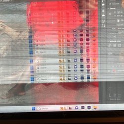 Apex-PC Recovery