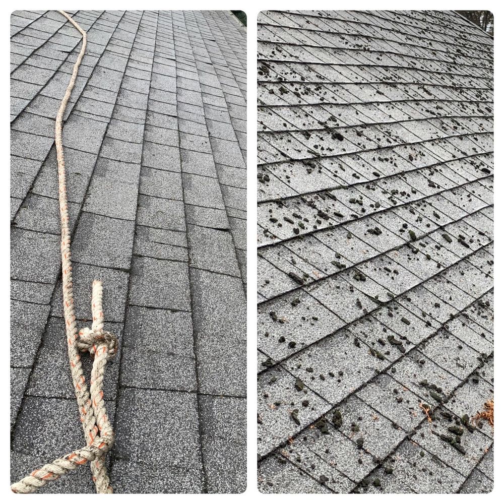 BUBBLES GUTTER CLEANING Updated October 2024 29 Photos Gladstone