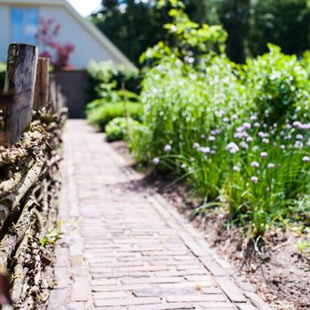 Kasteel De Vanenburg - Groenten en kruiden uit eigen tuin - Modern European Near Me - Putten, GE