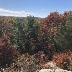 Campbell's Peaceful Valley Conservation Area - View from top