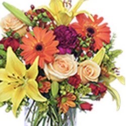 Genes Rockville Florist - What was ordered. Not received.