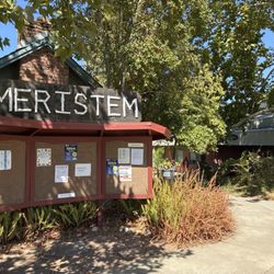 Meristem - Student activity bulletin board outside cafe.