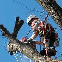 Botetourt Tree Service