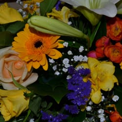 Irene's Flower Cabin