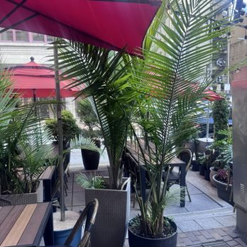 Nicky's Thai Kitchen - Thai Near Me - Pittsburgh, Pennsylvania Nicky's Thai Kitchen - Thai Near Me - Pittsburgh, Pennsylvania